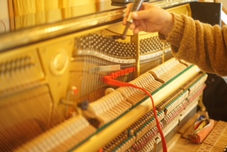 acoustic-piano-tuning-and-seicho